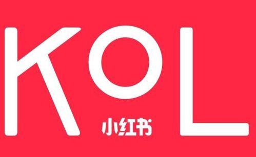 蕓眾科技 借力小紅書KOL達人，打造產品推廣種草與測評新范式