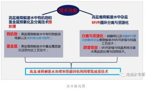 高鹽難降解廢水趨零排放技術實現重大突破與規?；瘧? />
</span>
<span id=